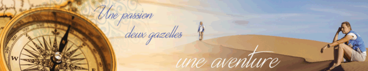 Rallye des gazelles 2016