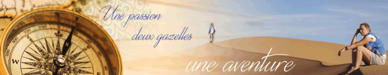 Rallye des gazelles 2016