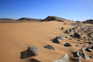 26009069972_366ac76b5f_b