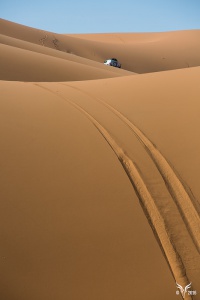 26054691616_caaf3161c0_b