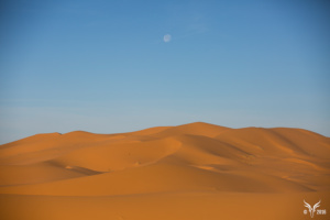 26080597545_e7c5d19fb2_b