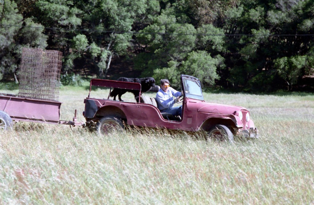 Le president Ronald Reagan au volant de sa Jeep CJ-6 avec sa chienne Millie, au Rancho del Cielo en Californie