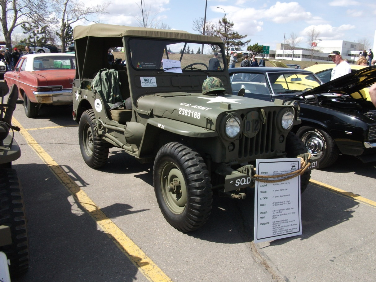 Willys M38 de 1951 vert olive, phares proeminents et outils de pionnier sur le capot